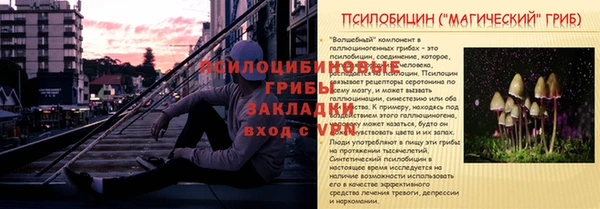 ГАЛЛЮЦИНОГЕННЫЕ ГРИБЫ Горнозаводск
