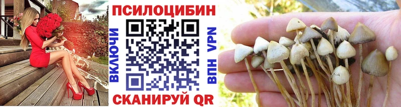 Псилоцибиновые грибы GOLDEN TEACHER  купить наркотики сайты  ОМГ ОМГ как войти  Дальнереченск 