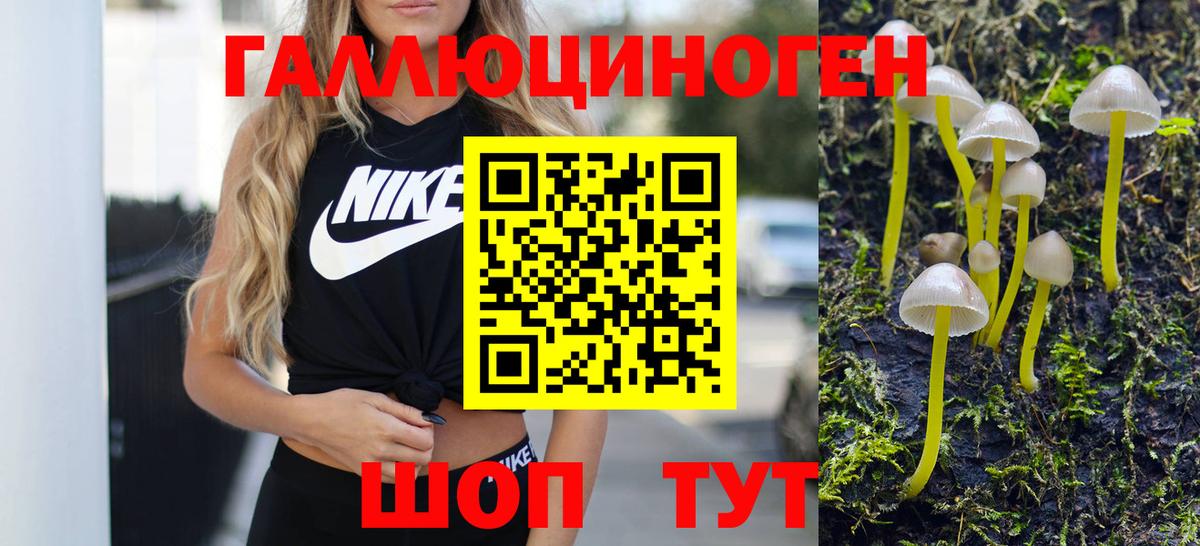 Псилоцибиновые грибы мухоморы Дальнереченск