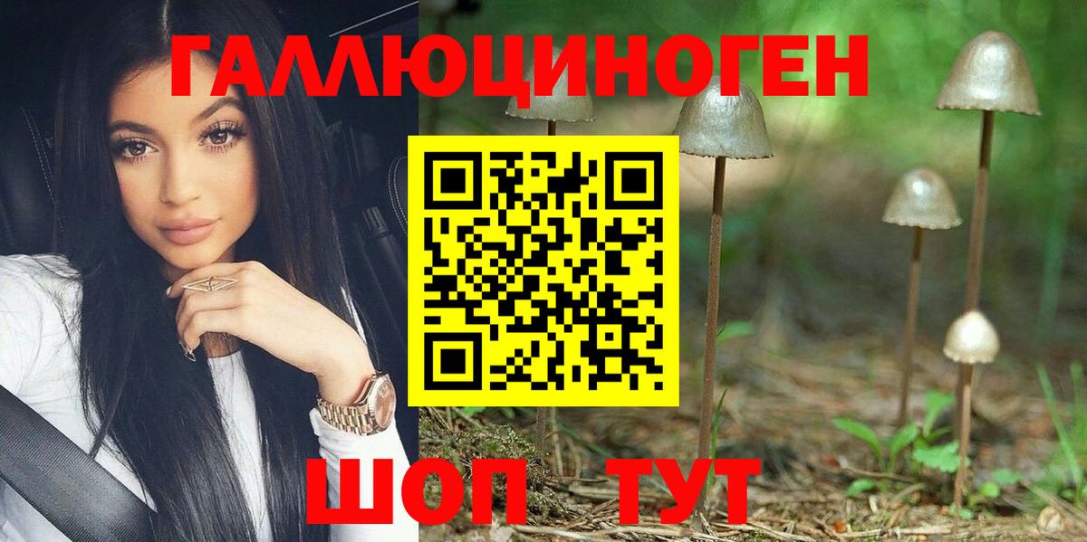 Псилоцибиновые грибы GOLDEN TEACHER  Вход с VPN  Псилоцибиновые грибы Psilocybine cubensis  Дальнереченск 